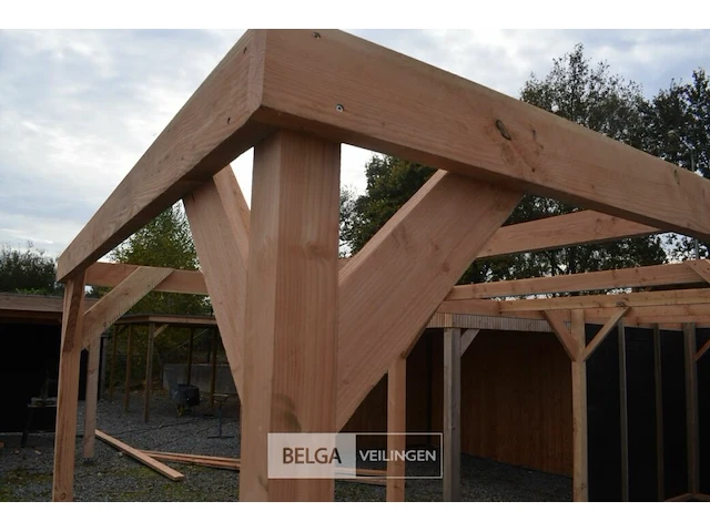 Carport/overkapping met berging, afm b410xd720xh235/225 cm - afbeelding 9 van  13