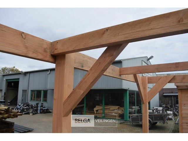 Carport/overkapping met berging, afm b510xd720xh235/225 cm - afbeelding 10 van  13