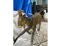 Carrouselgeit - afbeelding 4 van  6