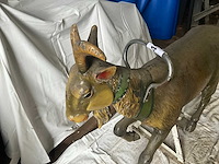 Carrouselgeit - afbeelding 5 van  6