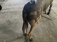 Carrouselpaard - afbeelding 7 van  8