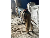 Carrouselpaard - afbeelding 5 van  7