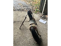 Carrouselpaard - afbeelding 5 van  7