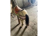 Carrouselpaard - afbeelding 6 van  6