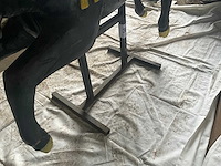 Carrouselstier - afbeelding 7 van  7