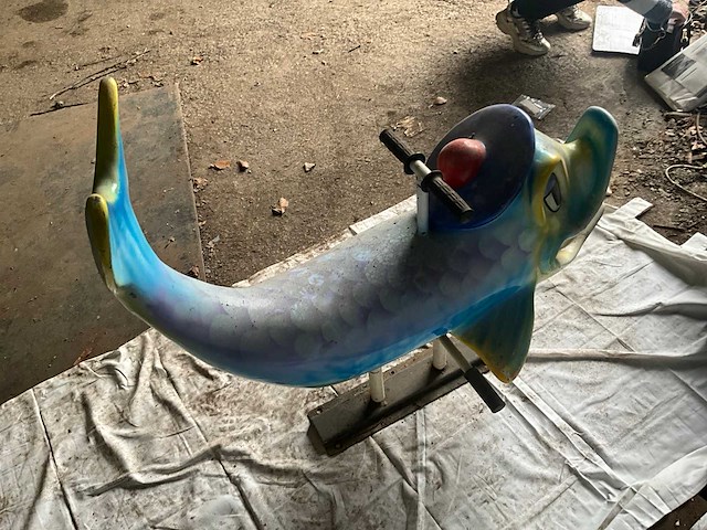 Carrouselvis - afbeelding 4 van  7