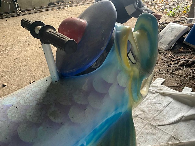 Carrouselvis - afbeelding 5 van  7