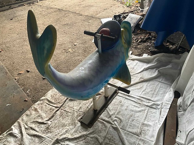 Carrouselvis - afbeelding 7 van  7