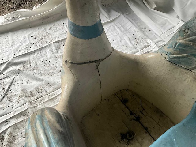 Carrouselzwaan - afbeelding 5 van  6