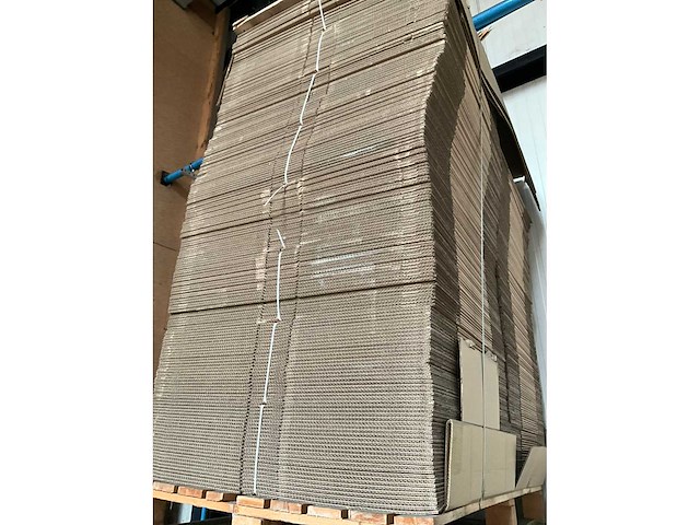 Cas40d plano kartonnen dozen (750x) - afbeelding 2 van  5