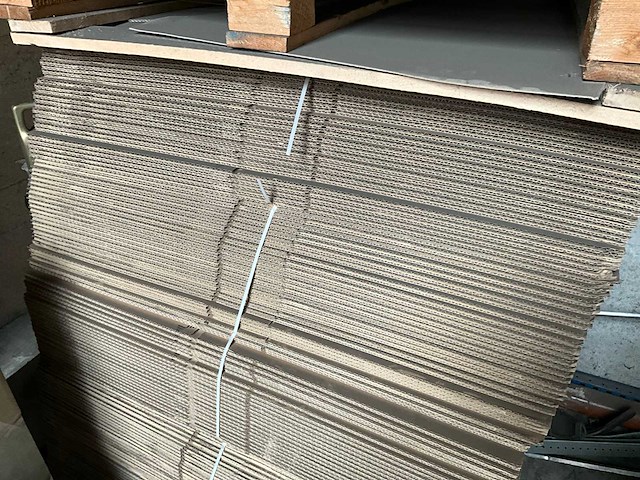 Cas40d plano kartonnen dozen (750x) - afbeelding 3 van  5