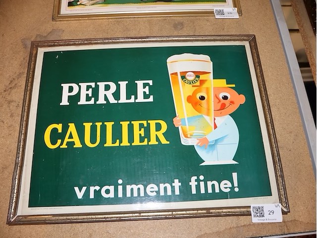 Caulier glacoide - afbeelding 1 van  6