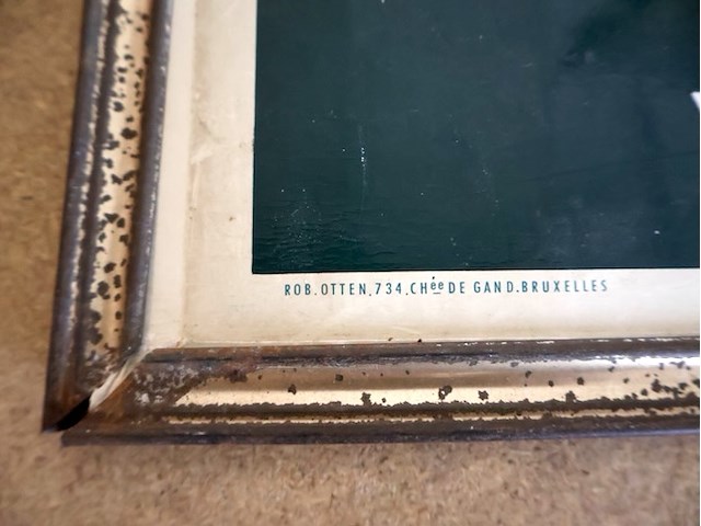 Caulier glacoide - afbeelding 3 van  6