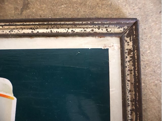 Caulier glacoide - afbeelding 4 van  6