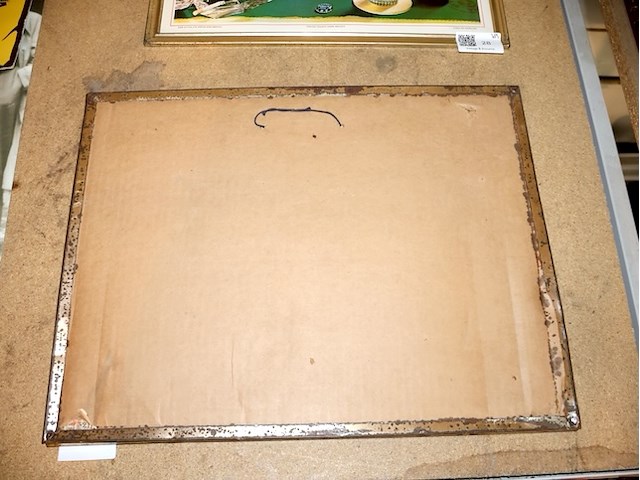 Caulier glacoide - afbeelding 5 van  6