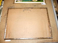 Caulier glacoide - afbeelding 5 van  6