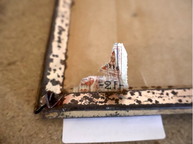 Caulier glacoide - afbeelding 6 van  6