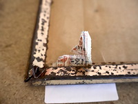 Caulier glacoide - afbeelding 6 van  6