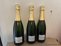 Cava - afbeelding 1 van  1