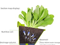 Ceiever hangende plantenwand - afbeelding 5 van  6