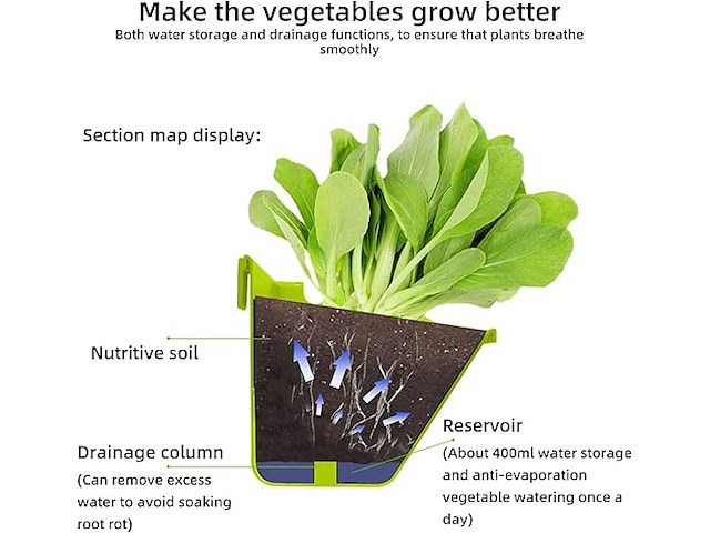 Ceiever hangende plantenwand - afbeelding 5 van  6