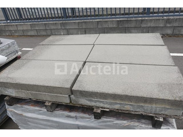 Cementtegels 60x30x6 cm - afbeelding 1 van  5