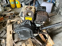 Cementvlinder - afbeelding 5 van  9