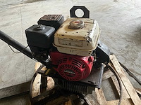 Cementvlinder - afbeelding 7 van  9