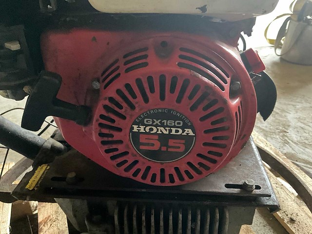 Cementvlinder - afbeelding 9 van  9