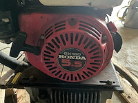 Cementvlinder - afbeelding 9 van  9