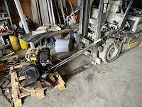 Cementvlinder - afbeelding 1 van  9