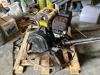 Cementvlinder - afbeelding 2 van  9