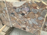 Ceppo di volpi - afbeelding 2 van  3