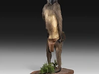 Chacma baboon (papio ursinus) full mount, taxidermy trophy, h 130 cm - w 50 cm - d 65 cm - total weight 22,25kg - afbeelding 2 van  9