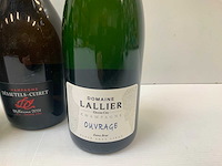 Champagne (3x) - afbeelding 4 van  4