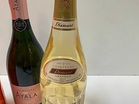 Champagne (3x) - afbeelding 4 van  4