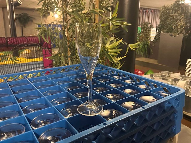 Champagneglas (98x) - afbeelding 2 van  3