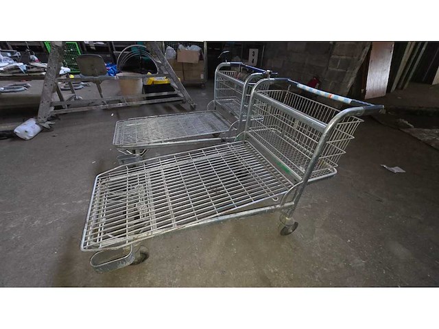 Chariots de magasin (2x) - afbeelding 1 van  7