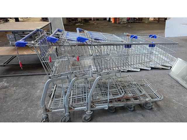 Chariots de magasin (3x) - afbeelding 1 van  4