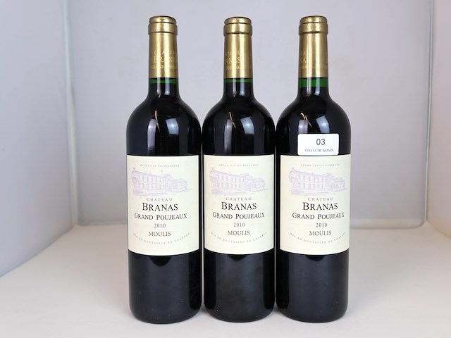 Château branas grand poujeaux 2010 (3x) - afbeelding 1 van  4