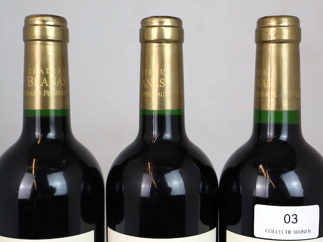 Château branas grand poujeaux 2010 (3x) - afbeelding 4 van  4