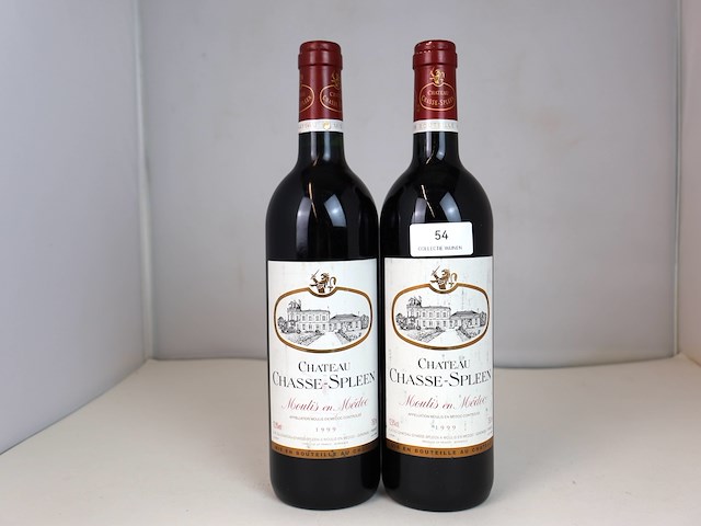 Château chasse-spleen 1999 (2x) - afbeelding 1 van  3