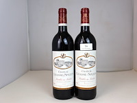 Château chasse-spleen 1999 (2x) - afbeelding 1 van  3