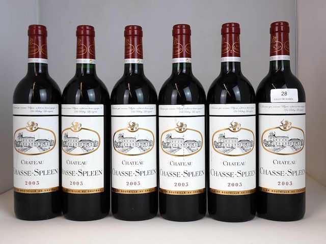 Château chasse-spleen 2003 (6x) - afbeelding 1 van  4