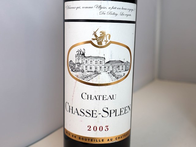 Château chasse-spleen 2003 (6x) - afbeelding 2 van  4