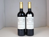 Château les vieilles murailles 2020 (2x) - afbeelding 1 van  4