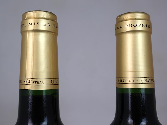 Château les vieilles murailles 2020 (2x) - afbeelding 4 van  4