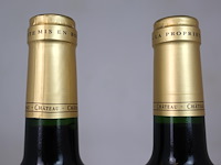 Château les vieilles murailles 2020 (2x) - afbeelding 4 van  4