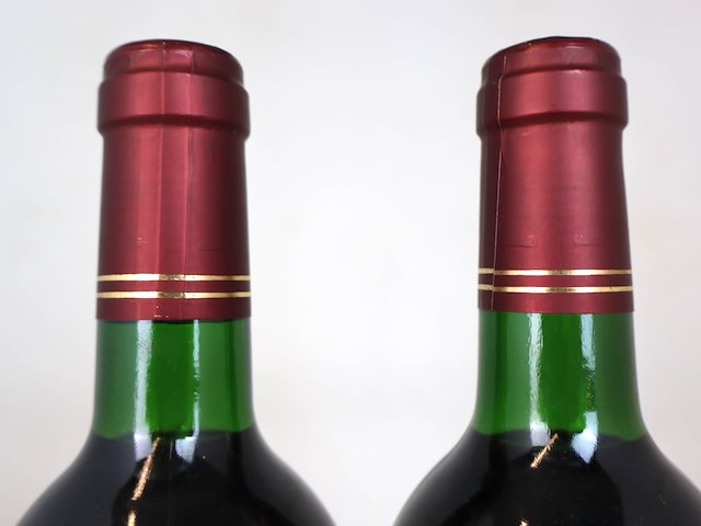 Château sigognac 1996 (2x) - afbeelding 4 van  4