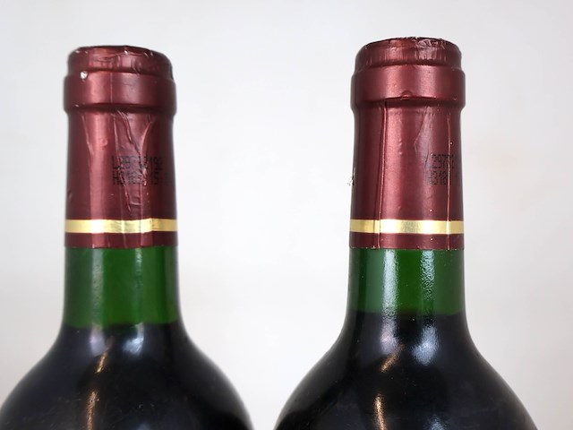 Chevalier de la reynaudie 1999 (2x) - afbeelding 4 van  4